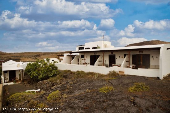 Casa rural y 5 apartamentos en Tahiche - Teguise