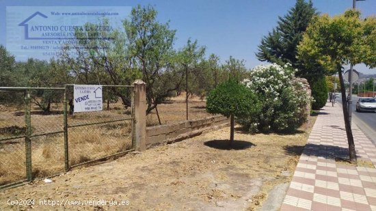 SE VENDE Parcela/Finca en Venta en La Zubia - Zubia (La)