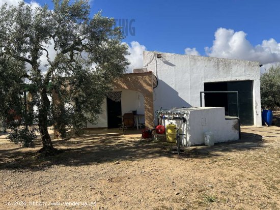 SE VENDE FINCA EN CARMONA, CHALET CON PISCINA - La Campiña