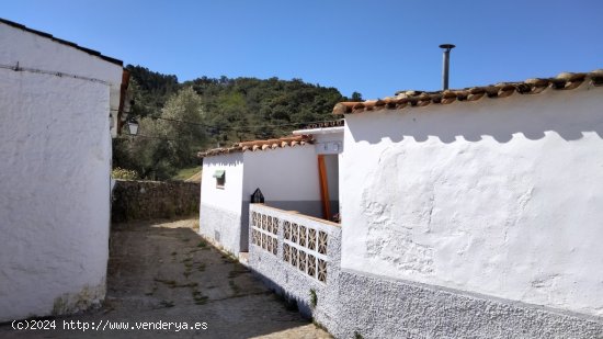  Casa de pueblo en Venta en Gil Marquez Huelva 