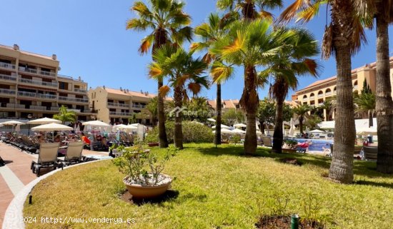 Apartamento en Alquiler en Arona Santa Cruz de Tenerife