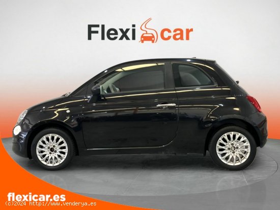 Fiat 500 Cult 1.0 Hybrid 51KW (70 CV) - Alcalá de Guadaíra