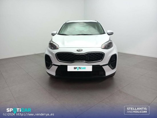 Kia Sportage  1.6 MHEV  100kW (136CV) 4x2 Concept - Almería