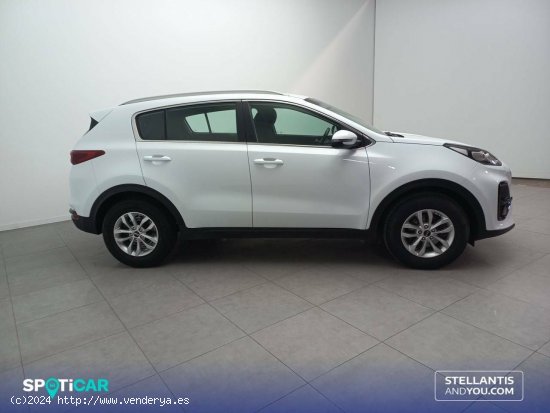 Kia Sportage  1.6 MHEV  100kW (136CV) 4x2 Concept - Almería