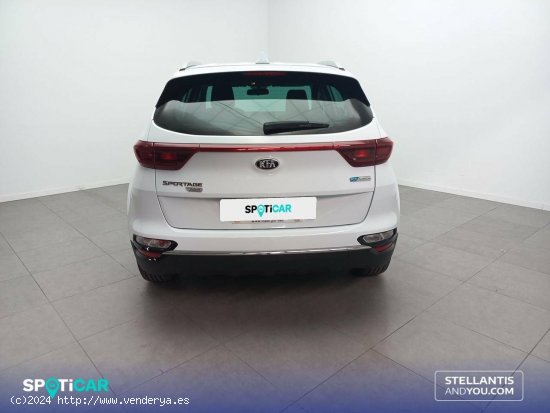 Kia Sportage  1.6 MHEV  100kW (136CV) 4x2 Concept - Almería