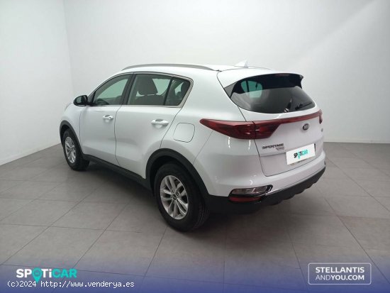 Kia Sportage  1.6 MHEV  100kW (136CV) 4x2 Concept - Almería