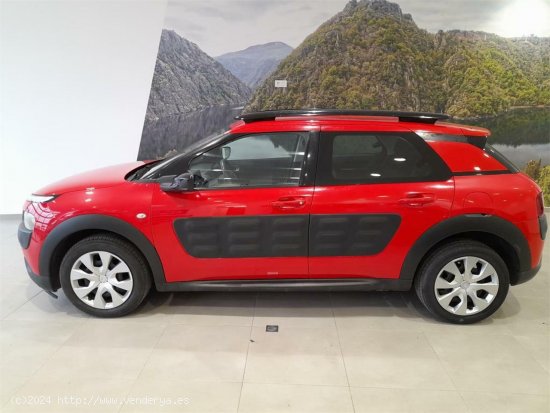 Citroën C4 Cactus PureTech 60KW (82CV) ETG6 Feel Edition - 