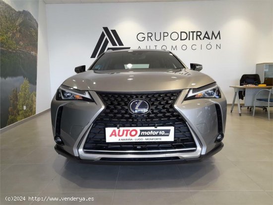 Lexus UX 2.0 250h Business - 