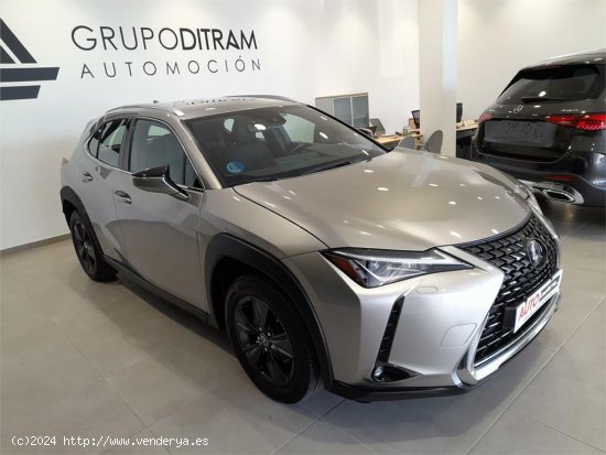 Lexus UX 2.0 250h Business - 