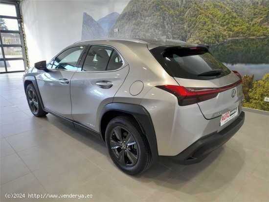 Lexus UX 2.0 250h Business - 