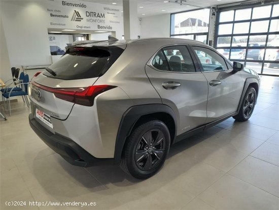 Lexus UX 2.0 250h Business - 