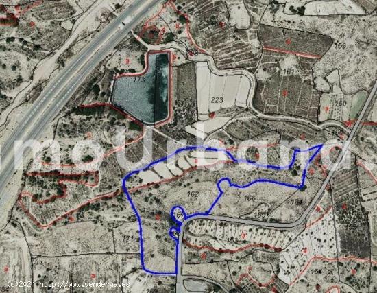 DOS PARCELAS RÚSTICAS DE 43.852M2 EN MONFORTE DEL CID - ALICANTE