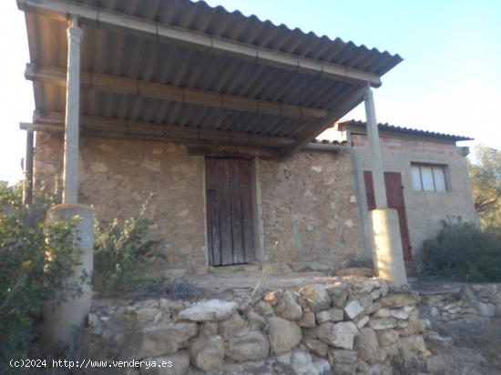 OPORTUNIDA FINCA AGRICOLA EN FLIX ( RIBERA D´EBRE) - TARRAGONA