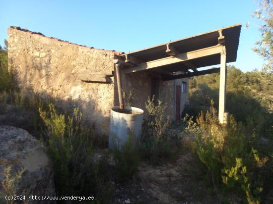 OPORTUNIDA FINCA AGRICOLA EN FLIX ( RIBERA D´EBRE) - TARRAGONA