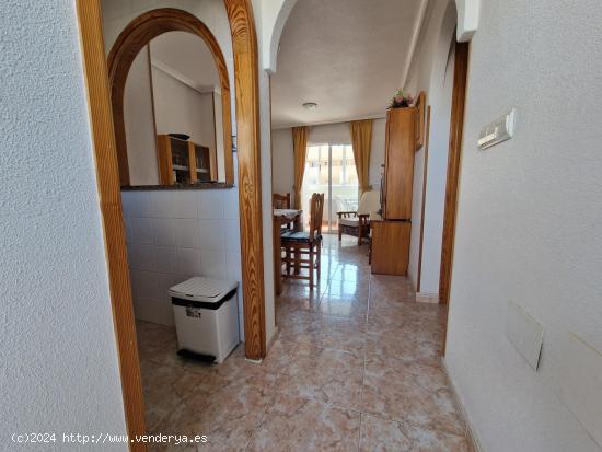 Apartamento como nuevo 2 dormitorios piscina comunitaria - ALICANTE