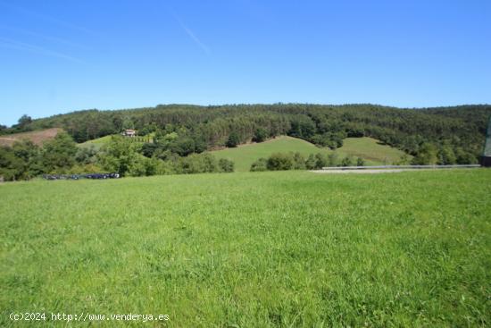 TERRENO URBANO CON BUENAS VISTAS EN RUISEÑADA - CANTABRIA