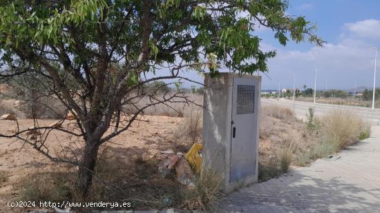  PARCELA INDUSTRIAL A LA VENTA EN PLA DE CARRASES - VALENCIA 