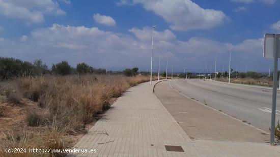 PARCELA INDUSTRIAL A LA VENTA EN PLA DE CARRASES - VALENCIA