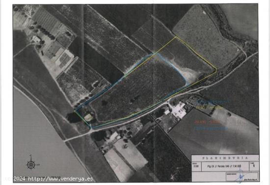 PARCELA RÚSTICA EN ROTA, EL CAMPILLO BAJO DE 28.692 m2. - CADIZ