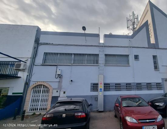  Edificio de oficinas en Avenida Hermanos Bou - CASTELLON 