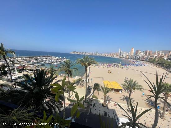 EDIFICIO DE APARTAMENTOS TURISTICOS EN EL PUERTO DE BENIDORM - ALICANTE