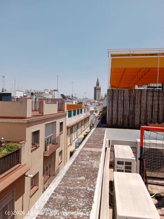    El Arenal Edificio Único   Piso de Lujo en Padre Marchena - SEVILLA 