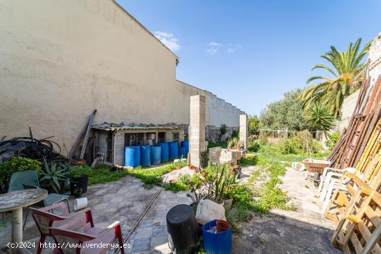 Solar Edificable en Muro - BALEARES