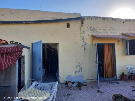 SE VENDE FINCA CON CUARTO DE APEROS EN CHARCO DEL PINO - SANTA CRUZ DE TENERIFE