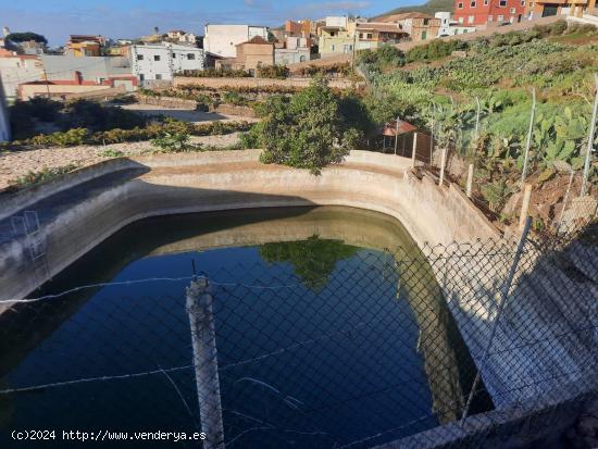 SE VENDE FINCA CON CUARTO DE APEROS EN CHARCO DEL PINO - SANTA CRUZ DE TENERIFE