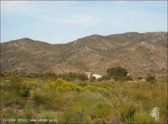 TERRENO AGRÍCOLA CON EDIFICACIÓN EN SAN VICENTE DEL RASPEIG - ALICANTE