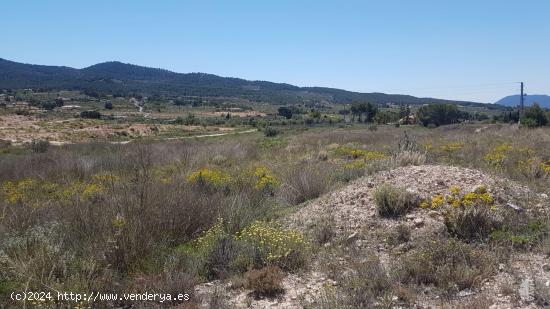 TERRENO URBANIZABLE EN IBI - ALICANTE