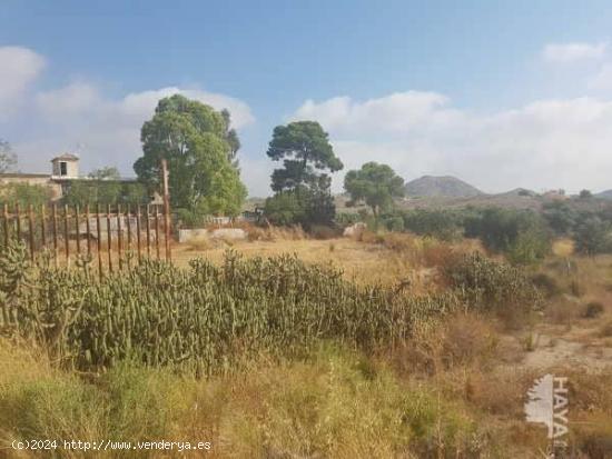 TERRENO AGRÍCOLA EN PARTIDA ALCORAYA - ALICANTE