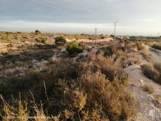 TERRENO AGRÍCOLA CON EDIFICACIÓN EN ALBATERA - ALICANTE