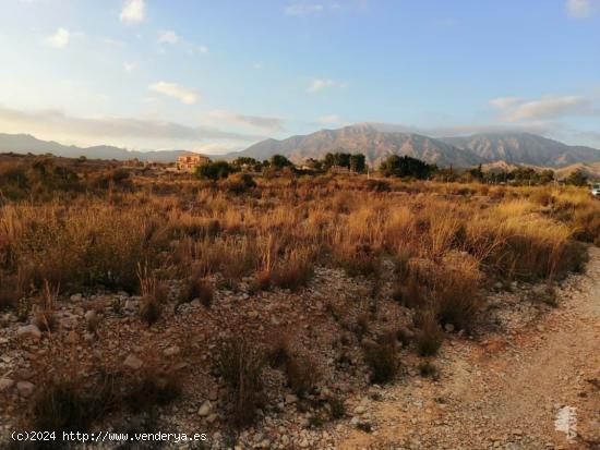 TERRENO AGRÍCOLA CON EDIFICACIÓN EN ALBATERA - ALICANTE