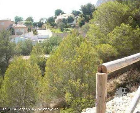 TERRENO TIPO SOLAR EN JAVEA - ALICANTE