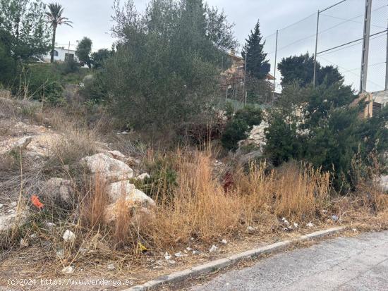  TERRENO CALICANTO - SANTO DOMINGO - VALENCIA 