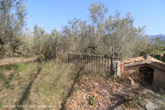  CASITA RÚSTICA EN ALFONDEGUILLA - CASTELLON 