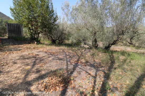 CASITA RÚSTICA EN ALFONDEGUILLA - CASTELLON