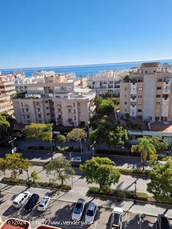 PISAZO EN MARBELLA CENTRO - MALAGA