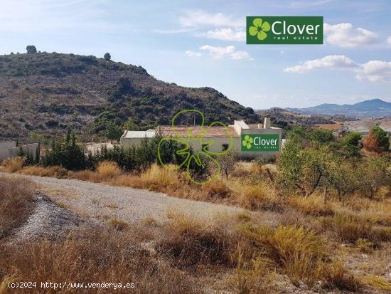  En venta una finca y vivienda en la diputación de Jarales. - MURCIA 