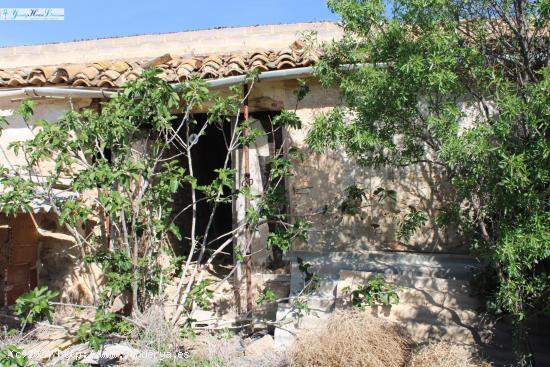 Casa Amurallada - VALENCIA