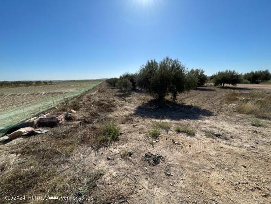 TERRENO RURAL EN VENTA EN MAZARRON - MURCIA