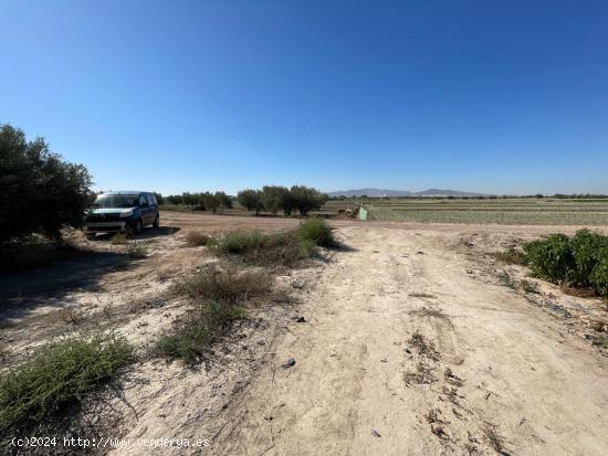 TERRENO RURAL EN VENTA EN MAZARRON - MURCIA