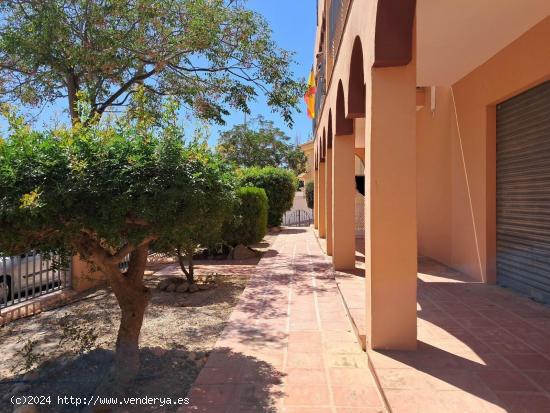 SE VENDE LOTE DE 4 ESTUDIOS EN EL ALAMILLO. MAZARRON. - MURCIA