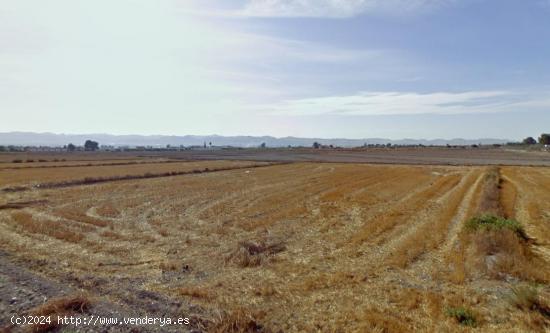 Fantásticas parcelas en Puerto Lumbreras - Zona La Estación - MURCIA