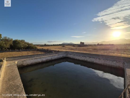 FINCA EDIFICABLE EN MURO CON LUZ Y AGUA - BALEARES