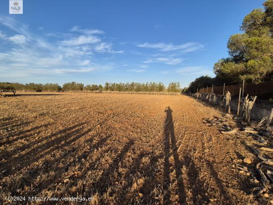 FINCA EDIFICABLE EN MURO CON LUZ Y AGUA - BALEARES