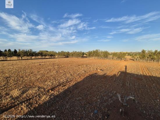 FINCA EDIFICABLE EN MURO CON LUZ Y AGUA - BALEARES