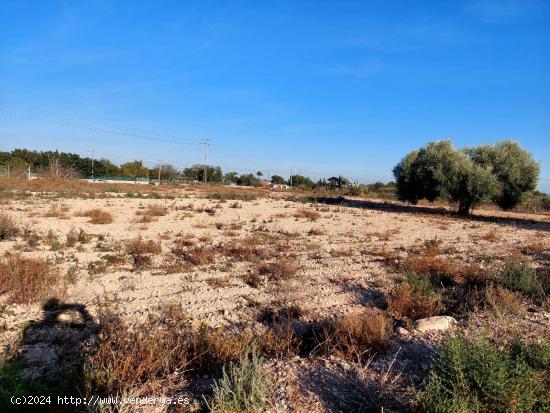 Se vende terreno de 13.000m2 en zona Squash - ALICANTE