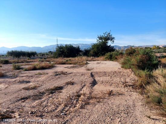 Se vende terreno de 13.000m2 en zona Squash - ALICANTE